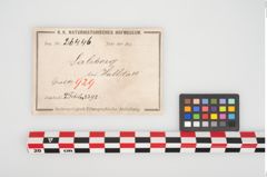 Etikett zu Bronzebrillenfibel (NHMW-PRAE-026446)